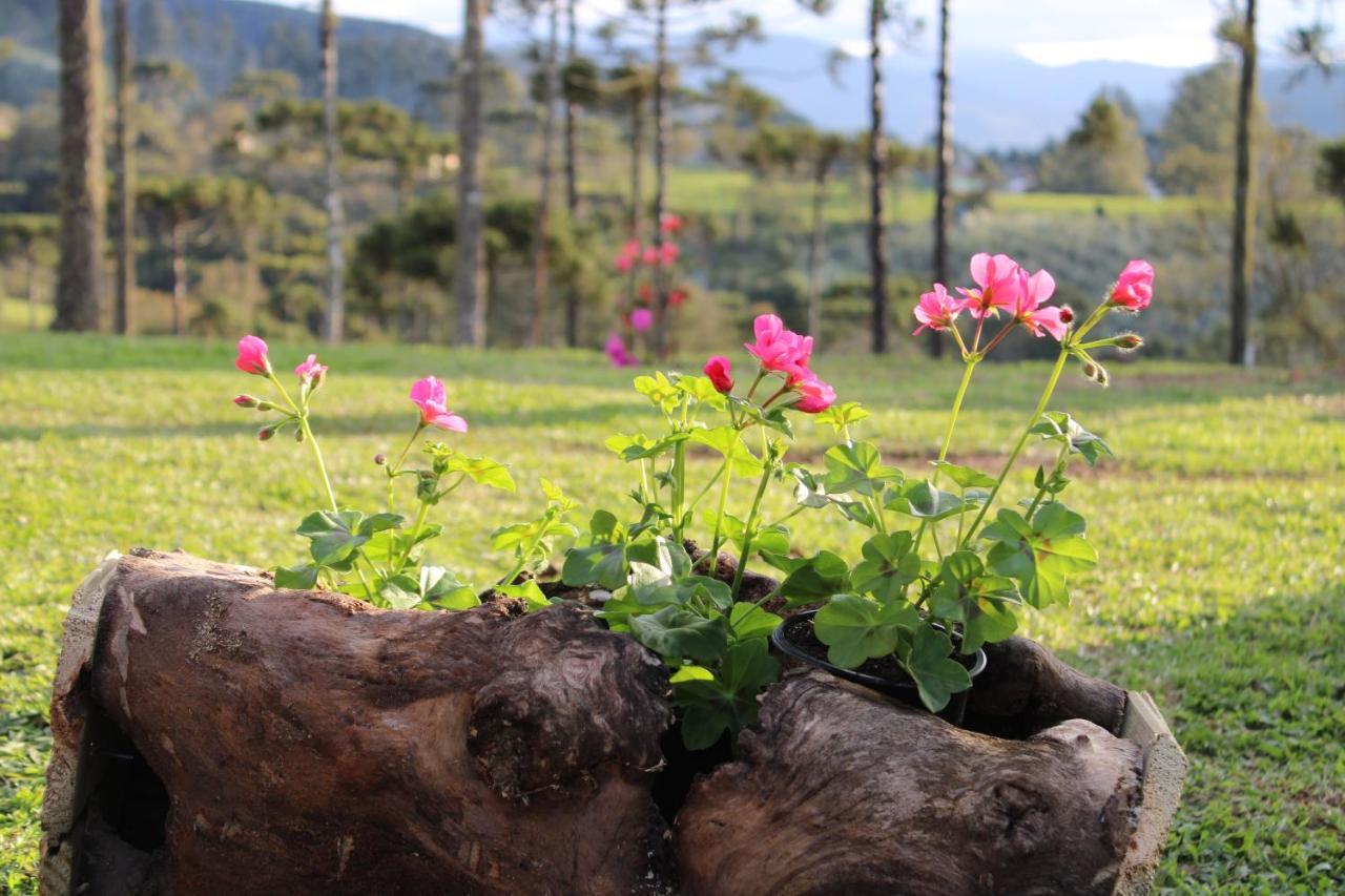 Chale Bienz - Hospedagem Rural อูรูบิซิ ภายนอก รูปภาพ
